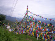 dharamsala019