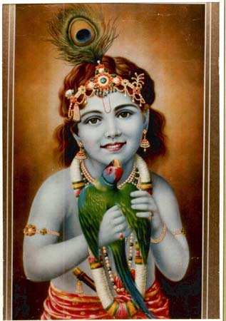 -   - Krishna child with parrot