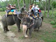 chitwan_elephant_safari050.htm