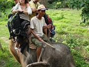 chitwan_elephant_safari136.htm