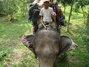 chitwan_elephant_safari140.htm