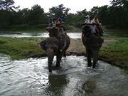 chitwan_elephant_safari158.htm