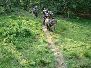 chitwan_elephant_safari183.htm