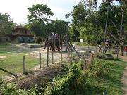 chitwan_elephant_safari202.htm